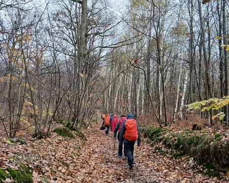 020 Arrivée dans la forêt domaniale de Meudon après la traversée de Chaville