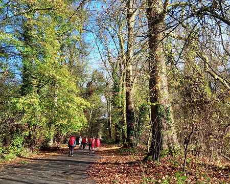 023 En début d’après-midi, le soleil, enfin !