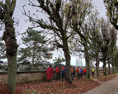 028 La Terrasse a été créée par André Le Nôtre pour le marquis de Louvois, ministre de Louis XIV, et propriétaire des lieux