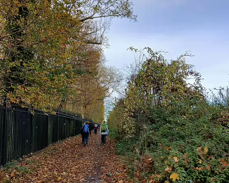 006 Le chemin des Gressets à Louveciennes longe la propriété de 23 ha acquise en 2015 par le prince héritier d’Arabie saoudite, Mohammed Ben Salmane