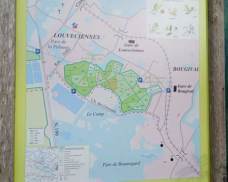 009 Carte du bois de Louveciennes (forêt domaniale de Marly). C’est au lieu-dit le Camp (où se situe l’actuel château Louis XIV) qu’étaient installées les...