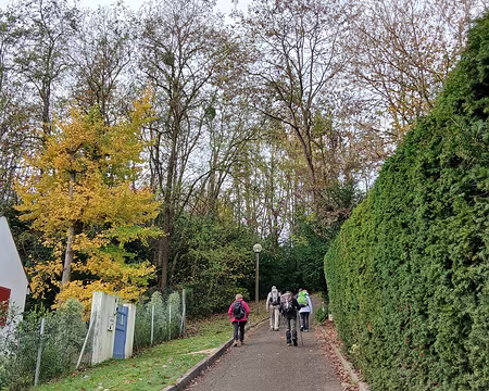 011 Le chemin de la Chasse du Roi (Louveciennes)