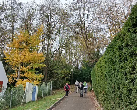 011 Le chemin de la Chasse du Roi (Louveciennes)