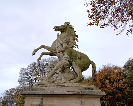 028 Les chevaux de Marly, réalisés par Guillaume Coustou à la demande de Louis XV ont remplacé, en 1745, un premier groupe équestre, Mercure et la Renommée,...