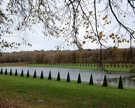 033 Le Grand Miroir est bordé par des ifs taillés (topiaires)