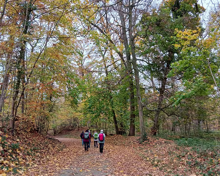 034 Randonnée dans la forêt domaniale de Marly avant de visiter le village