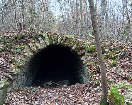 035 Vestige dans la forêt de Marly