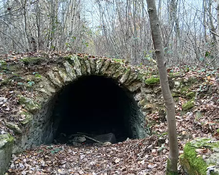 035 Vestige dans la forêt de Marly