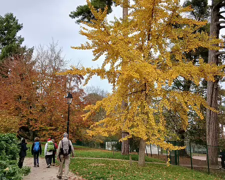048 L’Arboretum de Marly aux couleurs de l’automne