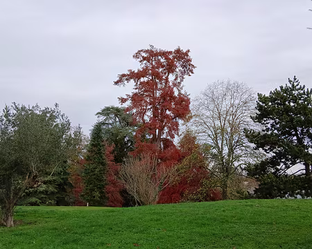 050 Merci Martine pour cette randonnée royale