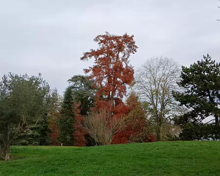 050 Merci Martine pour cette randonnée royale