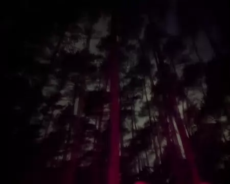 PXL_20251115_191858388.NIGHT Ombres au dessus des têtes rouges.