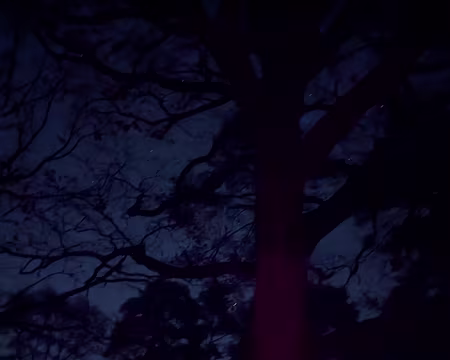 PXL_20251115_192906745.NIGHT