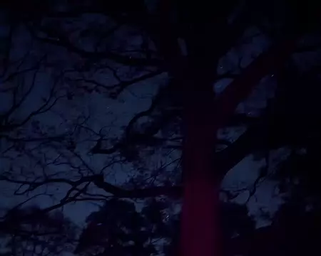 PXL_20251115_192906745.NIGHT