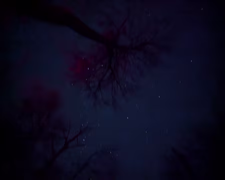 PXL_20251115_194551821.NIGHT