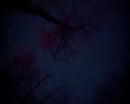 PXL_20251115_194551821.NIGHT