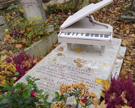 P1220003 Pianiste concertiste