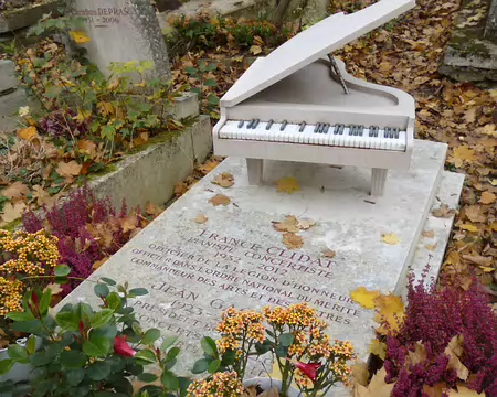 P1220003 Pianiste concertiste