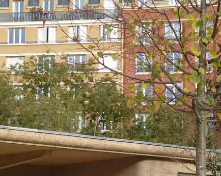 P1220117 ...le loup du créateur 