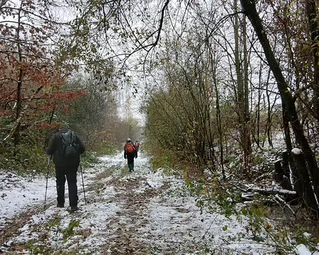 005 Attention, ça glisse !