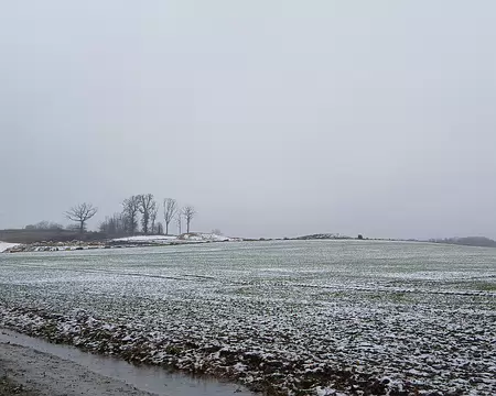 009 Paysage hivernal