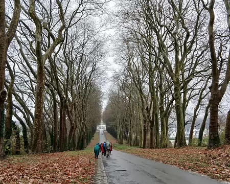 012 La Grande Allée du Duc de Massa, bordée de platanes, conduit au château de Franconville classé monument historique