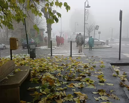 026 A la recherche d’un endroit pour pique-niquer