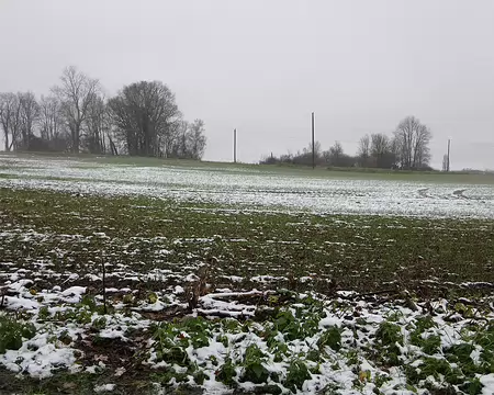 045 Labours dans la plaine de France