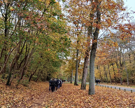 001 Entrée dans le Domaine national de Saint-Cloud (Hauts-de-Seine) par la grille de Ville-d’Avray pour une randonnée de l’après-midi (12 km) jusqu’à...