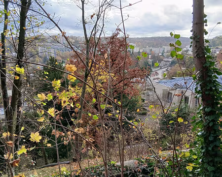 003 Vue sur Ville-d’Avray