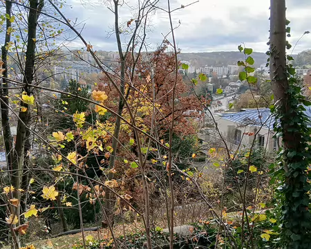 003 Vue sur Ville-d’Avray