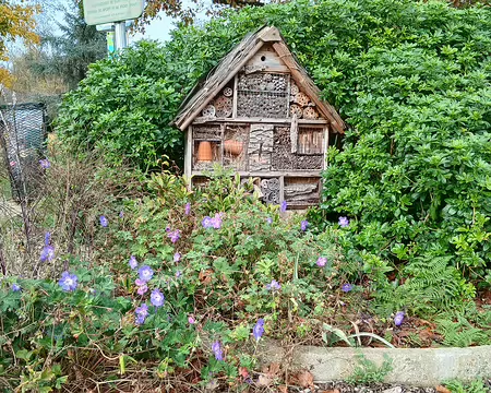 008 Un hôtel pour les insectes