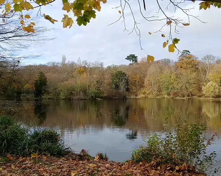 012 au milieu de la verdure