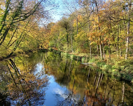 027 Reflets sur l’étang