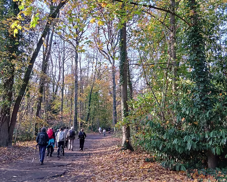 030 Arrivée dans la forêt domaniale de la Malmaison