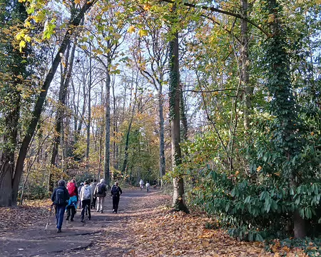 030 Arrivée dans la forêt domaniale de la Malmaison