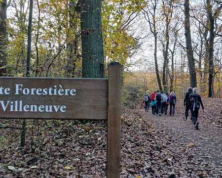 032 Sur la route forestière de Villeneuve (forêt de la Malmaison)