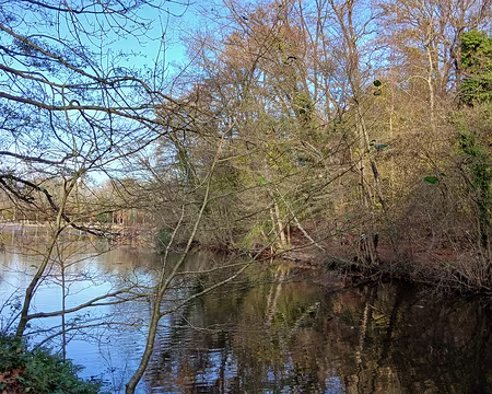 033 L’étang de Saint-Cucufa (2 ha) au cœur de la forêt de la Malmaison