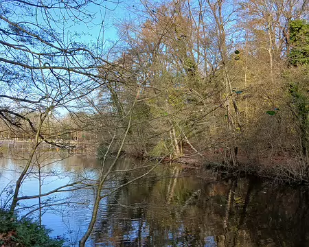 033 L’étang de Saint-Cucufa (2 ha) au cœur de la forêt de la Malmaison