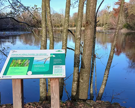 034 La biodiversité liée à l’étang
