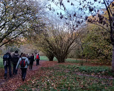 039 Les côteaux des Gallicourts étaient plantés de vignes jusqu’au XIXème siècle. Après l’épidémie de phylloxera, les vignes ont été remplacées par des arbres...