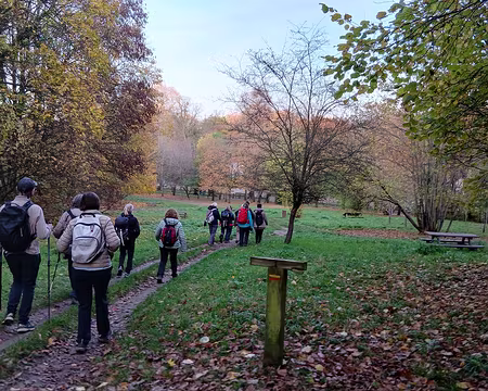 040 Descente vers le vallon des Gallicourts, au milieu des vergers