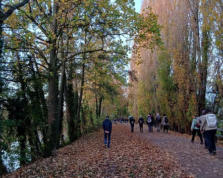 042 L’ancien chemin de halage (boulevard Bellerive) le long de la Seine à Rueil-Malmaison