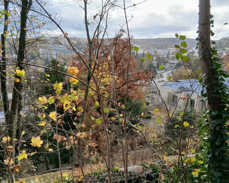 003 Vue sur Ville-d’Avray