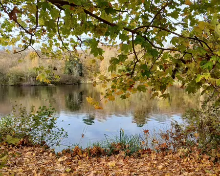 011 L’étang de Villeneuve …