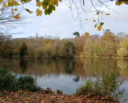 012 au milieu de la verdure