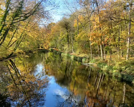 027 Reflets sur l’étang