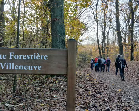 032 Sur la route forestière de Villeneuve (forêt de la Malmaison)
