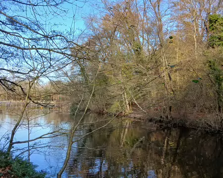 033 L’étang de Saint-Cucufa (2 ha) au cœur de la forêt de la Malmaison
