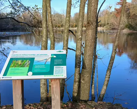 034 La biodiversité liée à l’étang